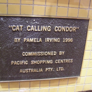 Cat Calling Condor